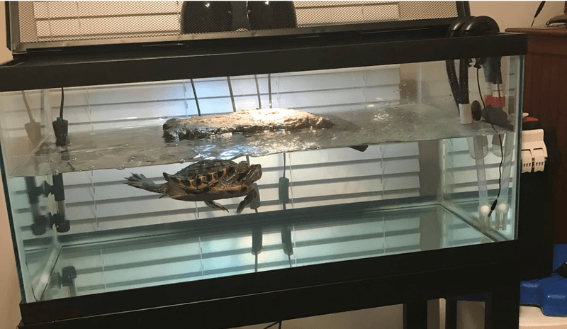 Establish Water Depth Guidelines