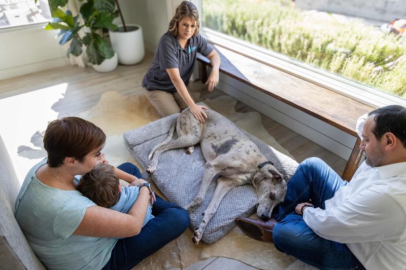 Schedule An At-Home Euthanasia