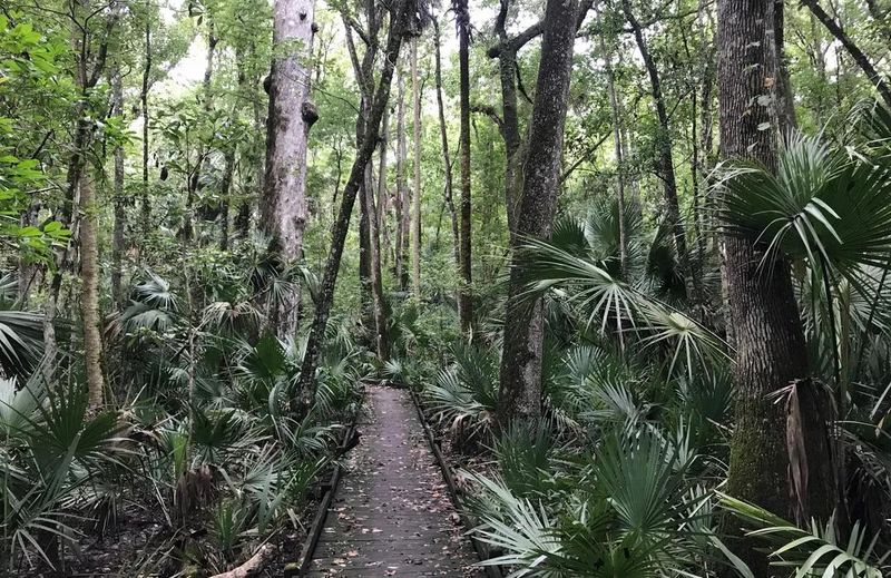 Stay On Established Trails To Avoid Surprise Encounters