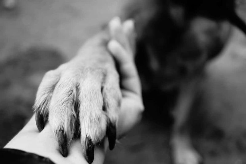 Saying Goodbye In Your Own Way