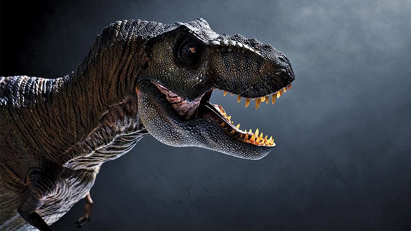 Dinosaurs Weren't Evolutionary Failures