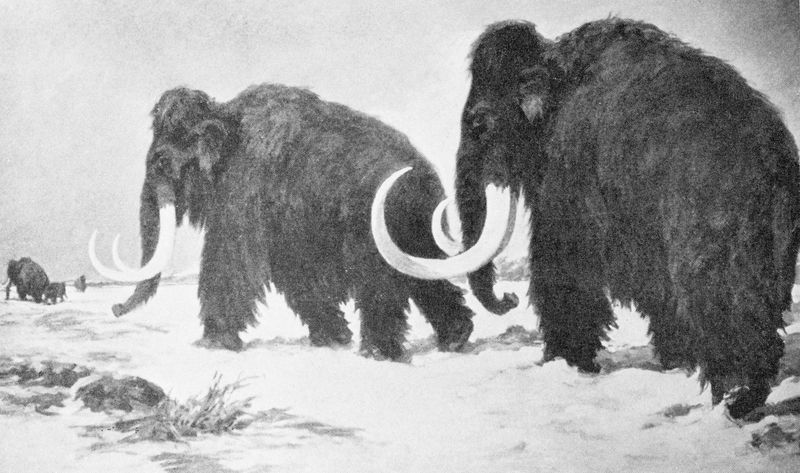 Scientists Want To Resurrect Them