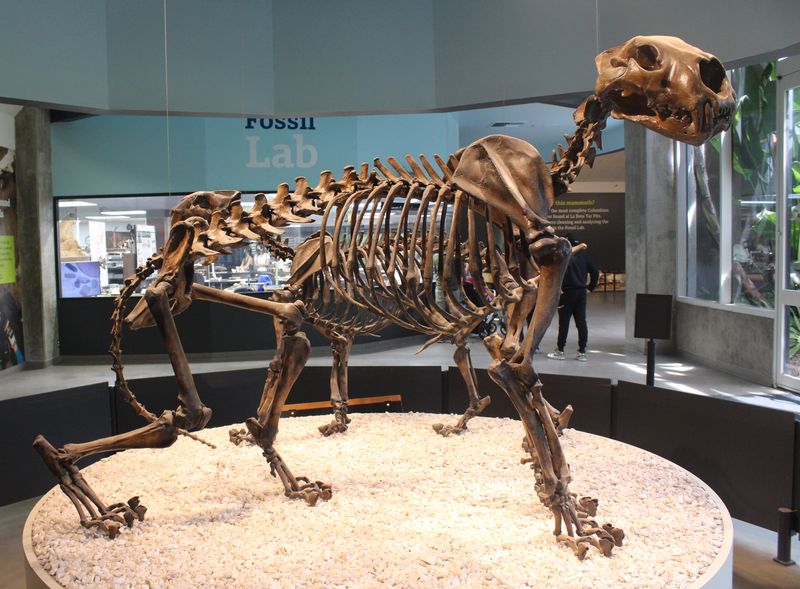 American Lion