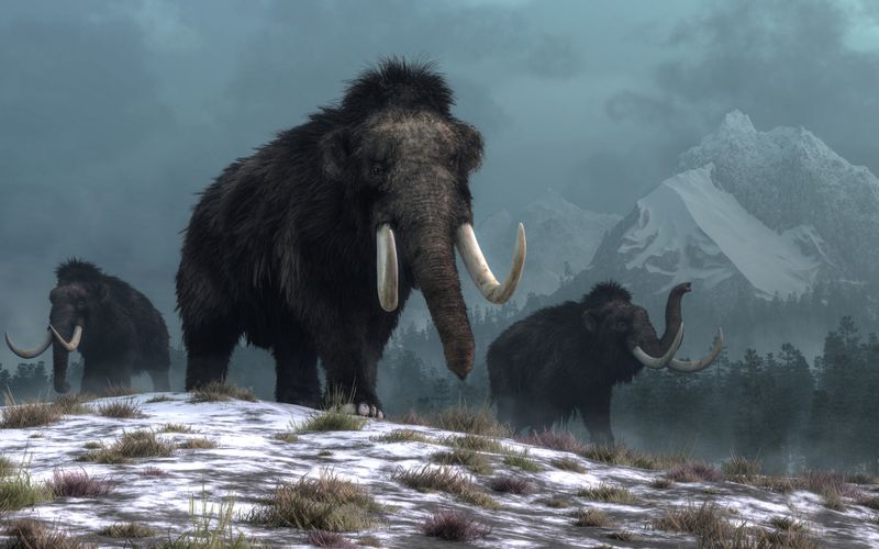 Last Mammoths Survived Until 4,000 Years Ago