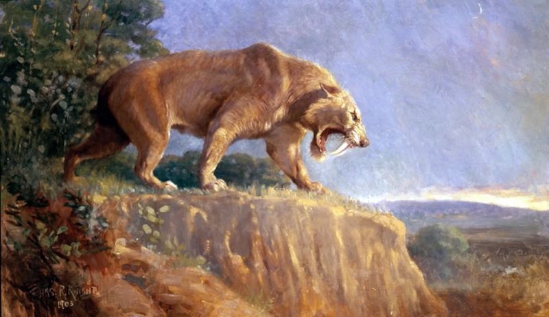 Saber-Toothed Cats: The Deadly Predators Of Florida