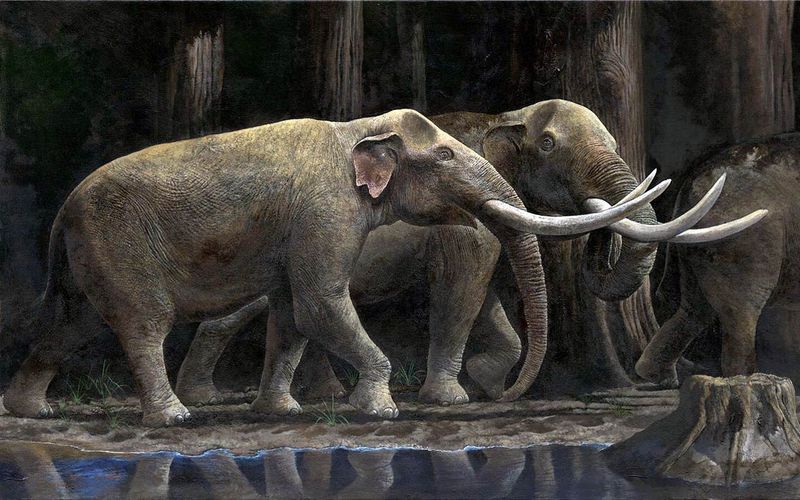 Stegodon Ganesa (Ganesa's Stegodon)