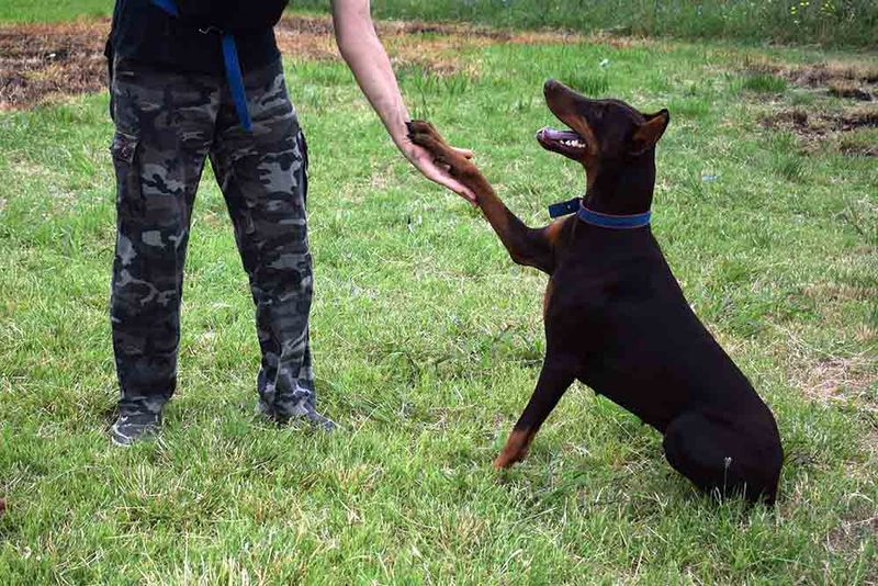 Channeling Natural Protective Instincts Appropriately