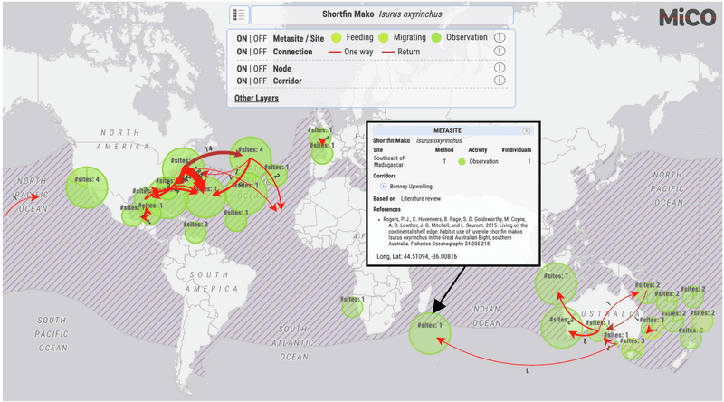 How The MiCO Database Sheds Light On Migratory Routes
