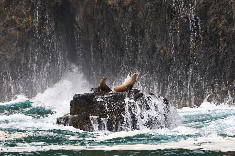Climate Change: Rising Seas Threaten Coastal Habitats