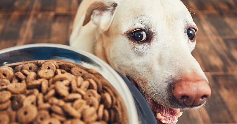 Labels Must Follow AAFCO Regulations In The U.S.