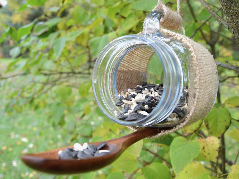 Wooden Spoon Feeding Station