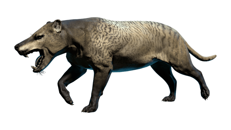 Various Species Ranging From Fox To Bear Size