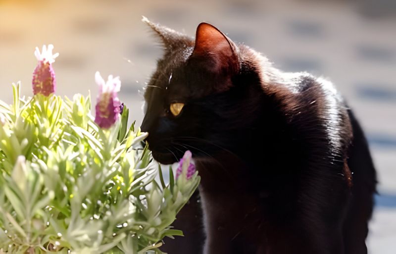Minimize Threatening Odors
