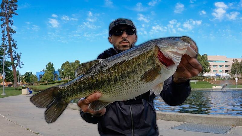 Fish Overlooked Urban Waters