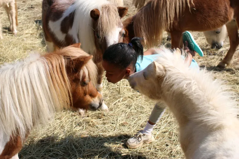 They Need Horse Friends