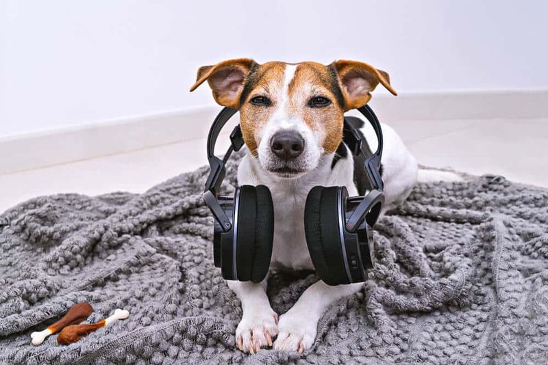 Sound Conditioning Therapy