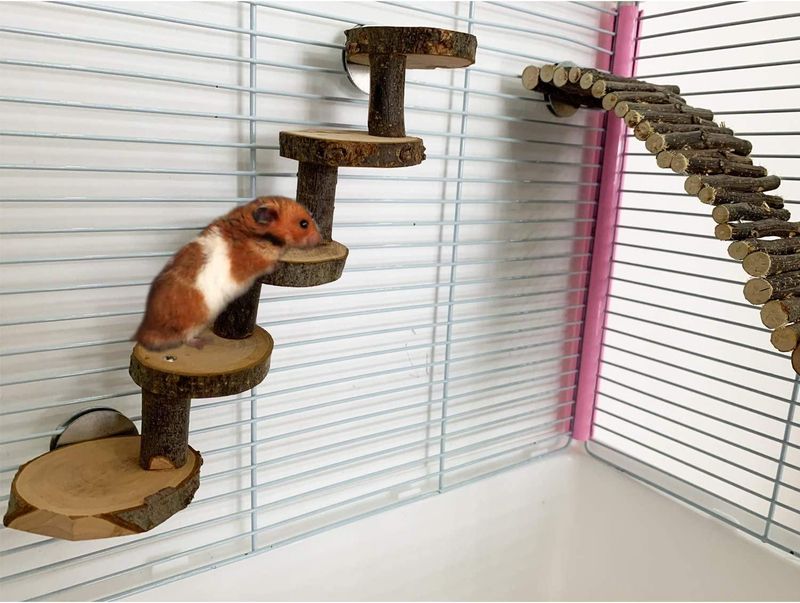 Balancing Bridges