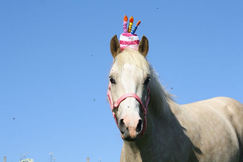 Celebrating Their Birthdays