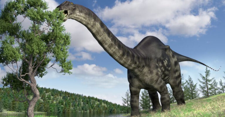 Meet Brontosaurus, The Dinosaur That Disappeared – And Was Later Brought Back