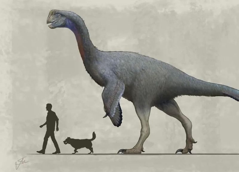 A Shocking Size That Baffled Scientists