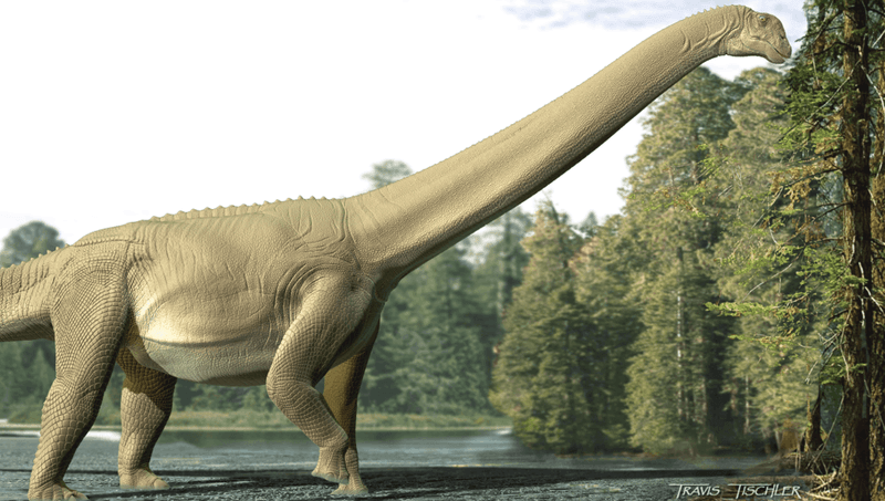 What Was Inside The Stomach Of The 95-Million-Year-Old Dinosaur?