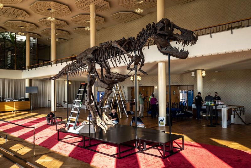 Tyrannosaurus Rex