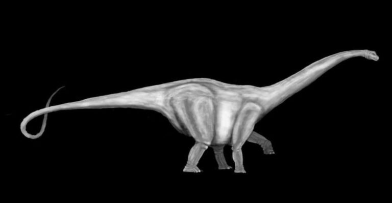 Meet The 20 Enormous Dinosaurs That Roamed America