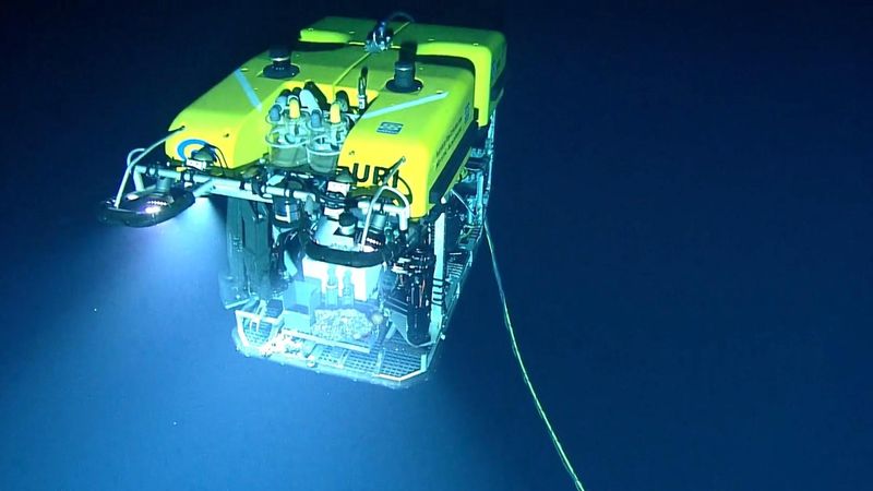 How Technology Enabled The Discovery Of New Deep-Sea Species
