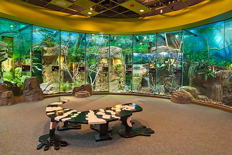 Los Angeles Zoo's Hollywood Collection