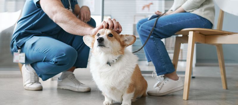 Social Needs Differ From Humans