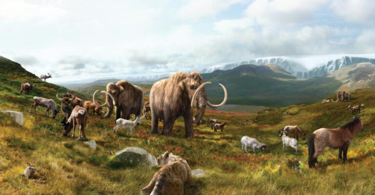 Millions Of Years Ago, Creatures Like Rhinos, Elephants, And Antelopes Roamed Texas