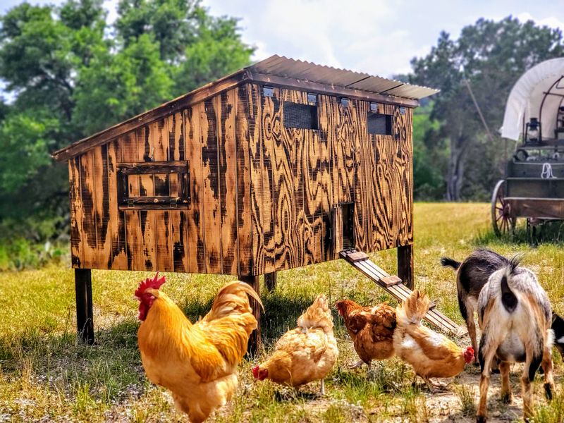Rustic Log Cabin Coop