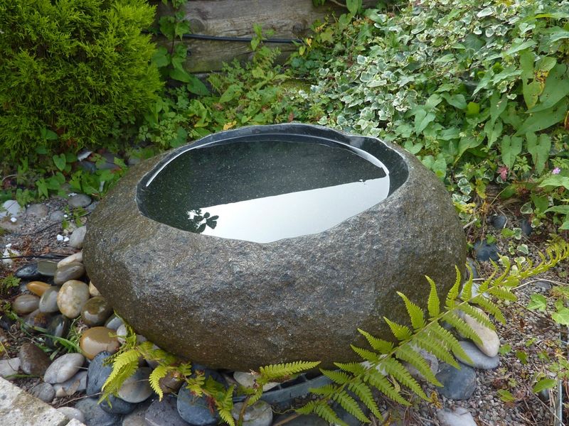 Shallow Water Dishes
