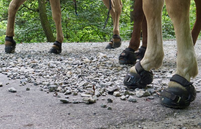 Maintain Consistent Ground Surfaces