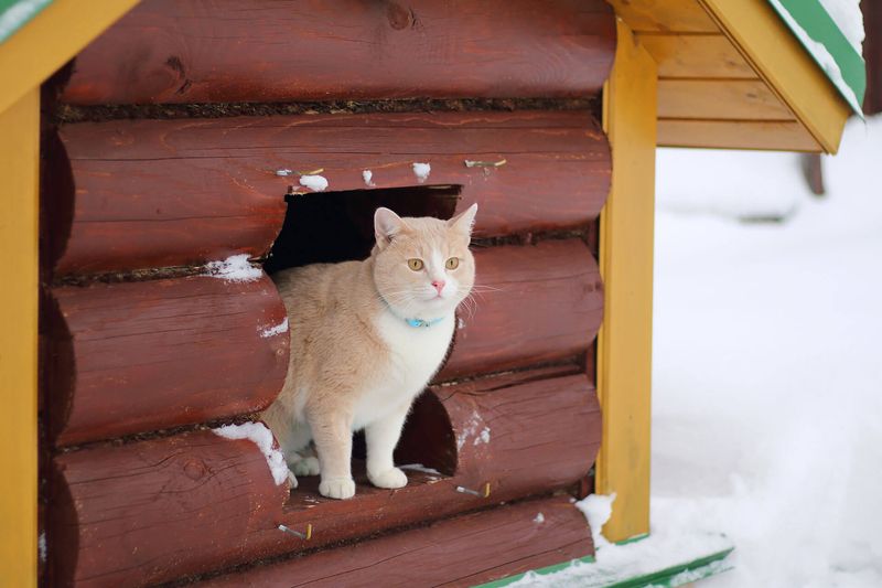 Set Up A Winter Warming Station