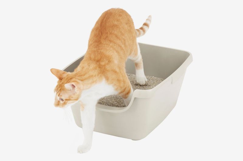 Modify The Litter Box Setup