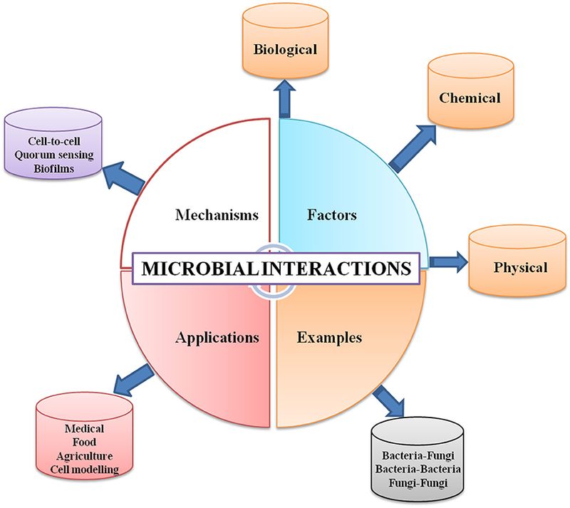 How Microbial Interactions Influence Evolution