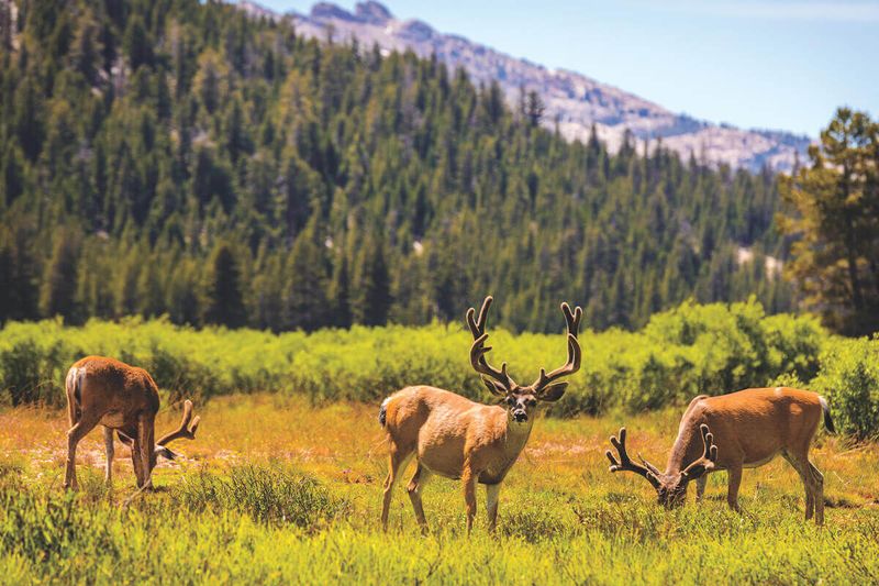 Idaho's Hidden Valleys