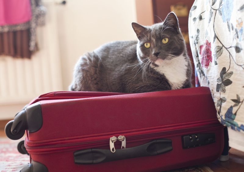 Easier Vacation Planning