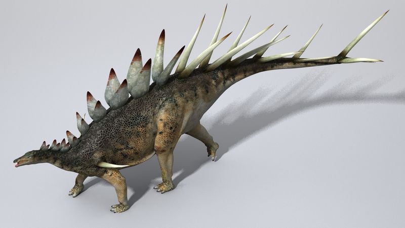 Advanced 3D Scanning Reveals Hidden Details