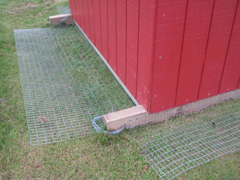 Buried Hardware Cloth Perimeter