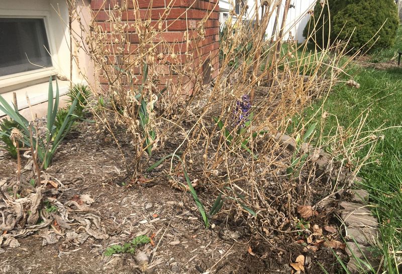 Fall Cleanup Frenzy