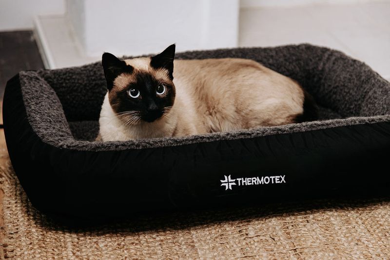 Heated Cat Bed: Toasty Slumber Spot