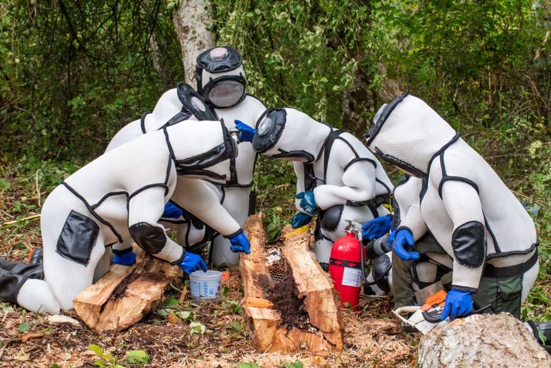 The Battle Against Murder Hornets: A 5-Year Effort To Protect U.S. Agriculture