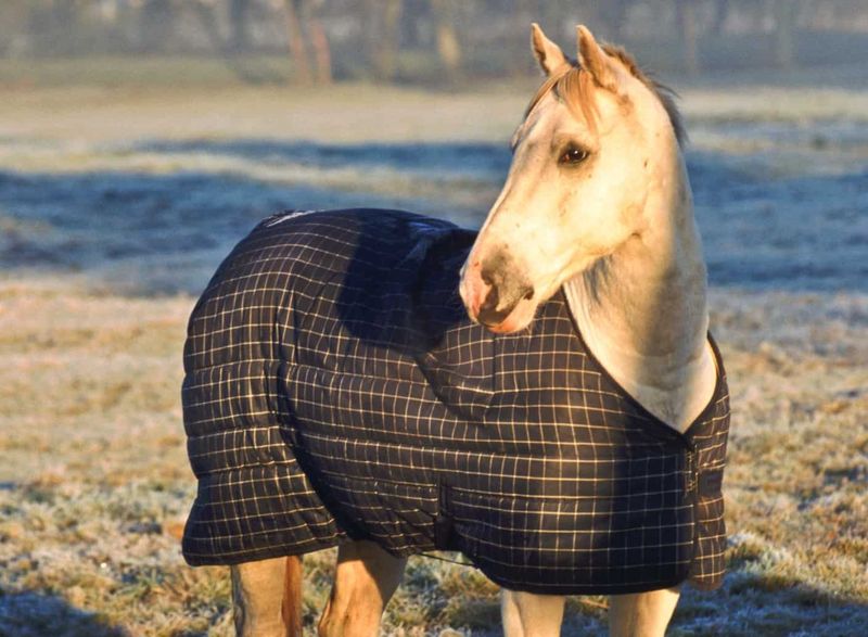 The Blanket Dilemma