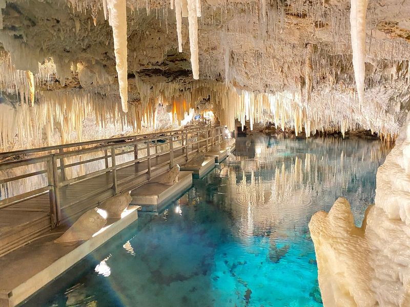 Bermuda’s Hidden Tidal Caves: A Unique Habitat For Rare Sea Creatures