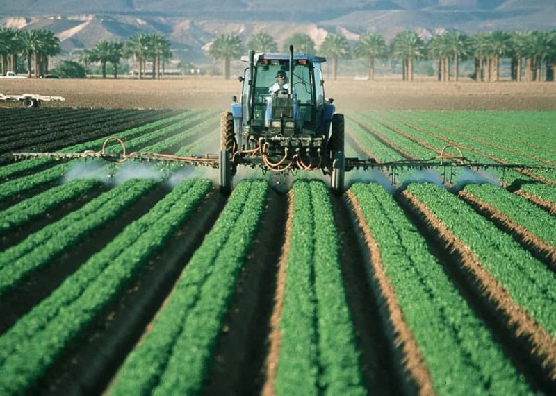 Monoculture Farming Creates Bee Food Deserts