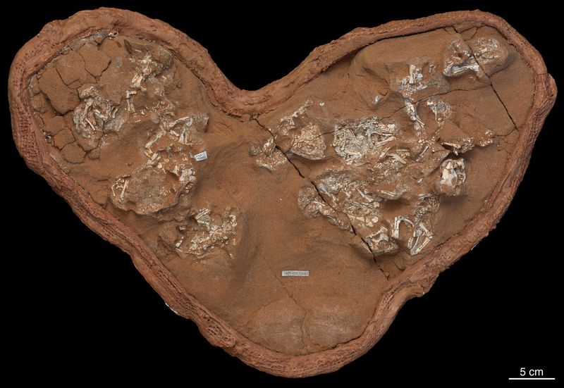 Preservation Miracle Defies Odds