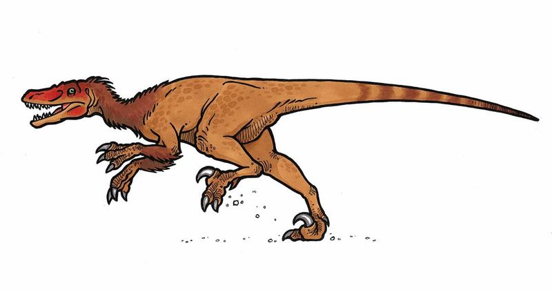 Three-Fingered Hands With Sharp Claws