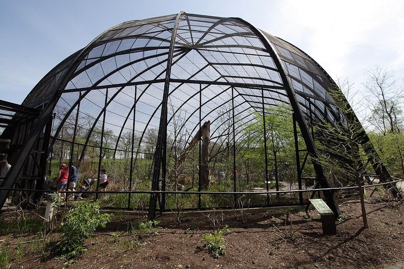 St. Louis Zoo's Historic Habitats